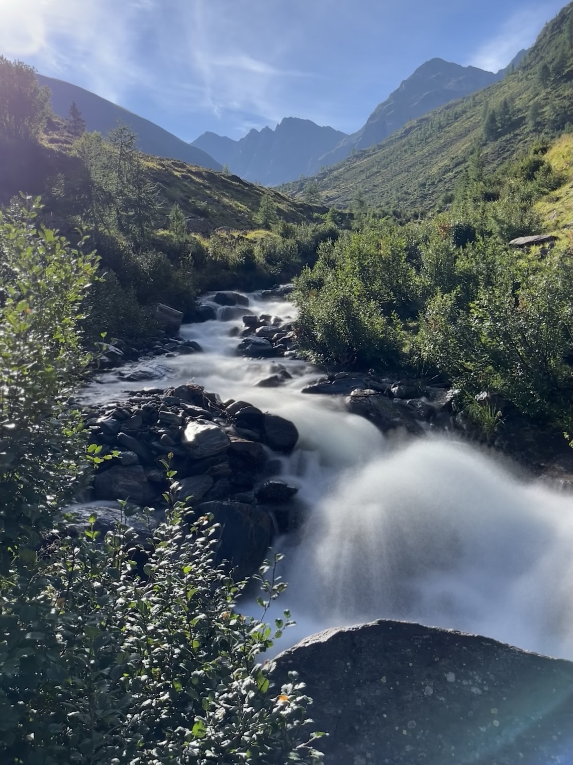 Bergbach inmitten der grünen Berglandschaft im Defereggental